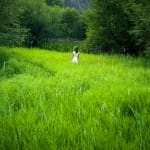 The Grass Isn't Always Greener At Another Brokerage Real Estate Agent Training Tips